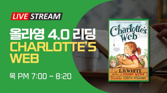 올라영 4.0 리딩 (국내반)